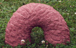 Sandstein nessi