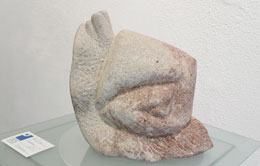 Schnecke