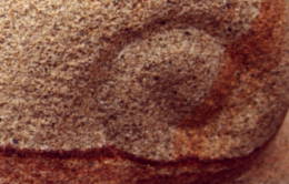 Sandstein schnecke